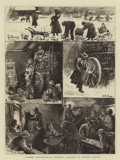 Markttuinbouw, een Winterreis naar Covent Garden door William Bazett Murray